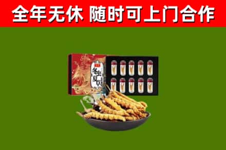 兖州区回收冬虫夏草价格